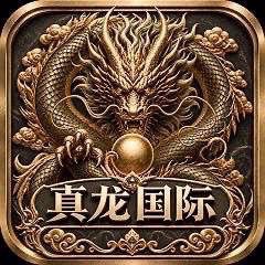 真龙国际